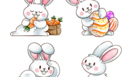 图解小兔漫画,趣味横生的日常趣事