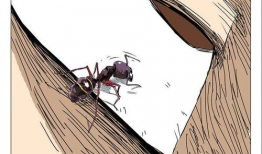 蚂蚁篇漫画,团结协作，共筑辉煌