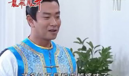 龙飞凤舞台湾电视剧,台湾风云录