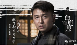 雷佳音演的电视剧,那些年我们一起追过的电视剧